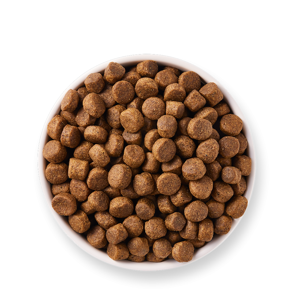Bio Hundefutter Getreidefrei